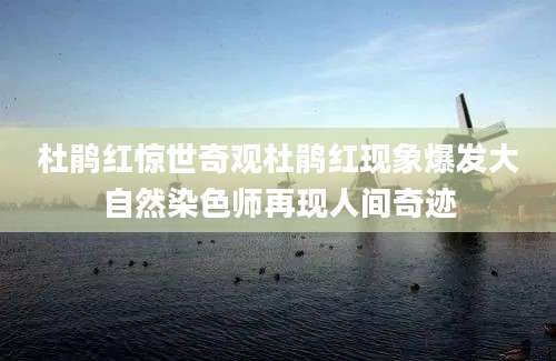 杜鹃红惊世奇观杜鹃红现象爆发大自然染色师再现人间奇迹