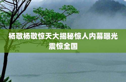 杨敬杨敬惊天大揭秘惊人内幕曝光震惊全国