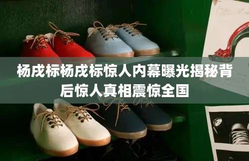 杨戌标杨戌标惊人内幕曝光揭秘背后惊人真相震惊全国