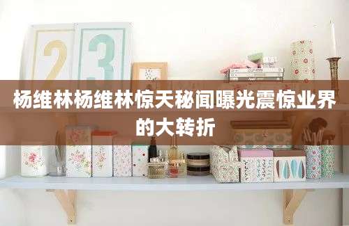 杨维林杨维林惊天秘闻曝光震惊业界的大转折