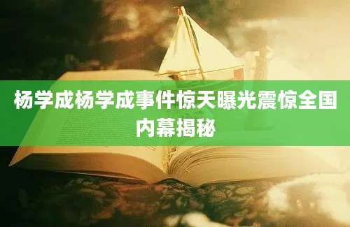 杨学成杨学成事件惊天曝光震惊全国内幕揭秘
