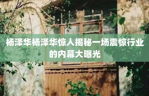 杨泽华杨泽华惊人揭秘一场震惊行业的内幕大曝光