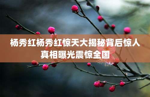 杨秀红杨秀红惊天大揭秘背后惊人真相曝光震惊全国
