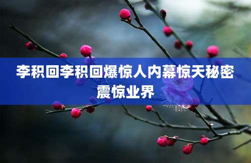 李积回李积回爆惊人内幕惊天秘密震惊业界