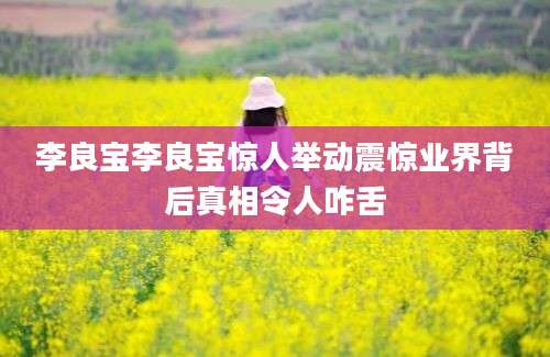 李良宝李良宝惊人举动震惊业界背后真相令人咋舌