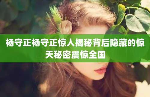 杨守正杨守正惊人揭秘背后隐藏的惊天秘密震惊全国