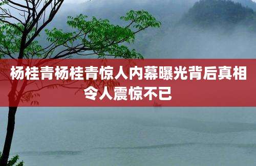 杨桂青杨桂青惊人内幕曝光背后真相令人震惊不已