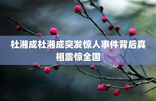 杜湘成杜湘成突发惊人事件背后真相震惊全国