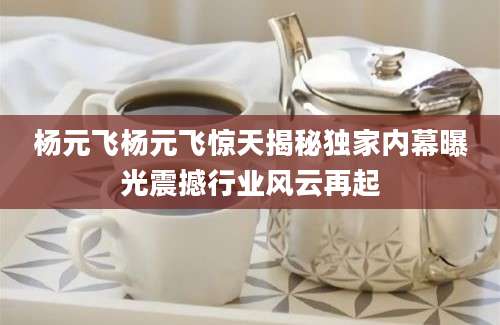 杨元飞杨元飞惊天揭秘独家内幕曝光震撼行业风云再起
