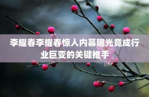 李耀春李耀春惊人内幕曝光竟成行业巨变的关键推手