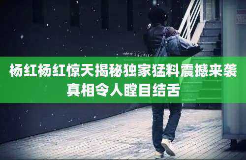杨红杨红惊天揭秘独家猛料震撼来袭真相令人瞠目结舌