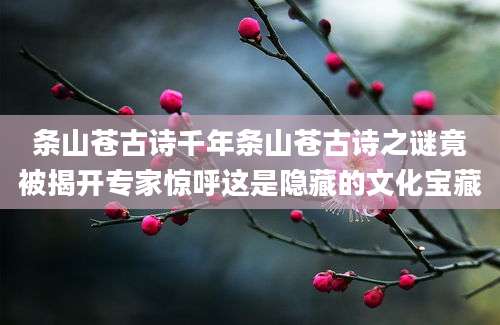 条山苍古诗千年条山苍古诗之谜竟被揭开专家惊呼这是隐藏的文化宝藏