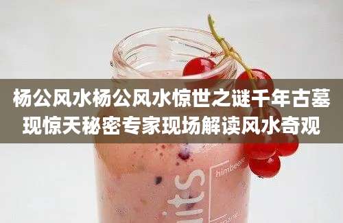 杨公风水杨公风水惊世之谜千年古墓现惊天秘密专家现场解读风水奇观