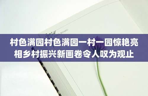 村色满园村色满园一村一园惊艳亮相乡村振兴新画卷令人叹为观止