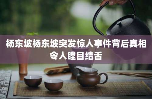 杨东坡杨东坡突发惊人事件背后真相令人瞠目结舌