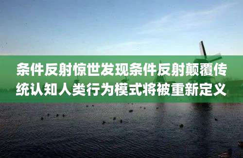 条件反射惊世发现条件反射颠覆传统认知人类行为模式将被重新定义