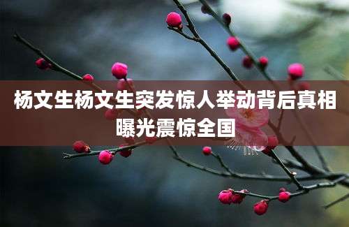 杨文生杨文生突发惊人举动背后真相曝光震惊全国