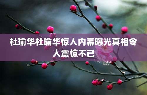 杜瑜华杜瑜华惊人内幕曝光真相令人震惊不已