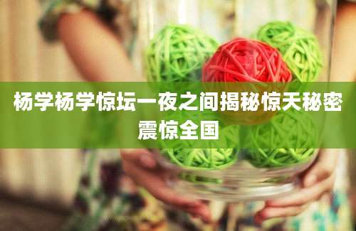 杨学杨学惊坛一夜之间揭秘惊天秘密震惊全国