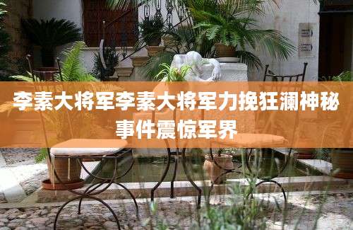 李素大将军李素大将军力挽狂澜神秘事件震惊军界