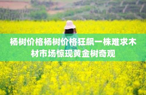 杨树价格杨树价格狂飙一株难求木材市场惊现黄金树奇观