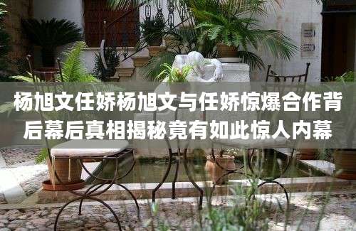 杨旭文任娇杨旭文与任娇惊爆合作背后幕后真相揭秘竟有如此惊人内幕