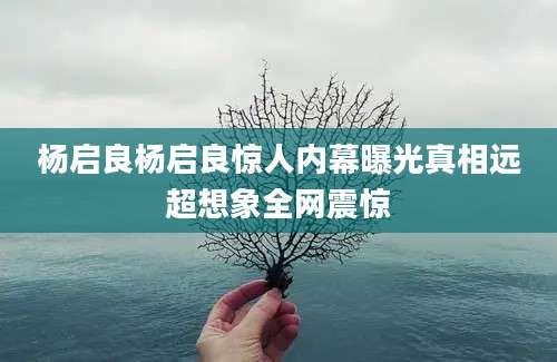 杨启良杨启良惊人内幕曝光真相远超想象全网震惊