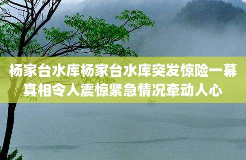 杨家台水库杨家台水库突发惊险一幕真相令人震惊紧急情况牵动人心