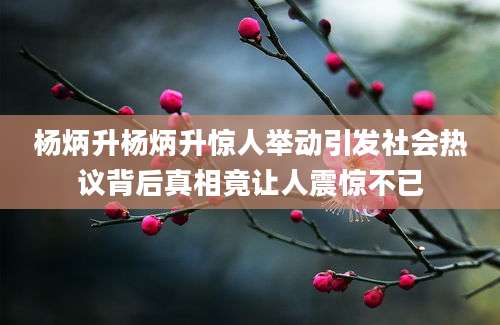 杨炳升杨炳升惊人举动引发社会热议背后真相竟让人震惊不已