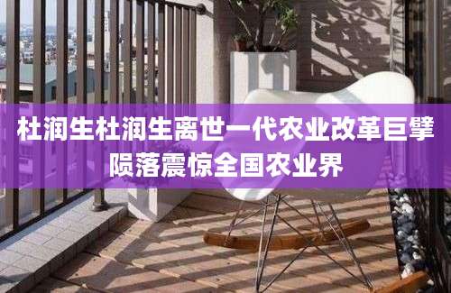 杜润生杜润生离世一代农业改革巨擘陨落震惊全国农业界