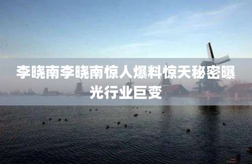 李晓南李晓南惊人爆料惊天秘密曝光行业巨变