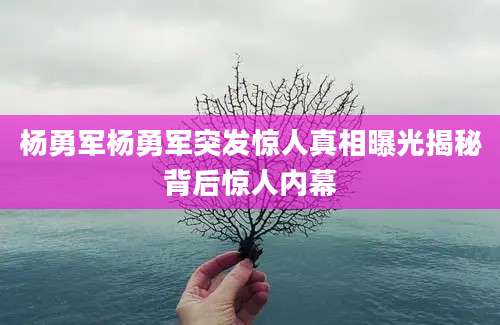 杨勇军杨勇军突发惊人真相曝光揭秘背后惊人内幕