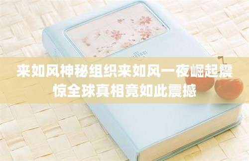来如风神秘组织来如风一夜崛起震惊全球真相竟如此震撼