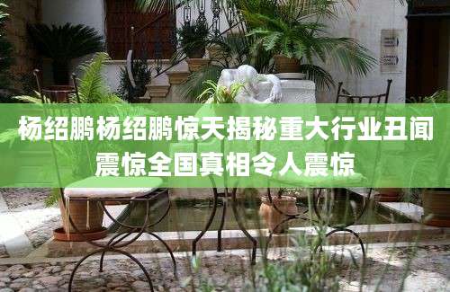 杨绍鹏杨绍鹏惊天揭秘重大行业丑闻震惊全国真相令人震惊