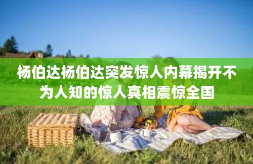 杨伯达杨伯达突发惊人内幕揭开不为人知的惊人真相震惊全国