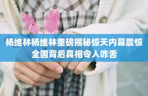 杨维林杨维林重磅揭秘惊天内幕震惊全国背后真相令人咋舌