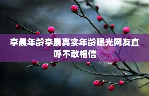 李晨年龄李晨真实年龄曝光网友直呼不敢相信