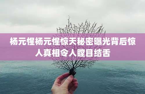 杨元惺杨元惺惊天秘密曝光背后惊人真相令人瞠目结舌
