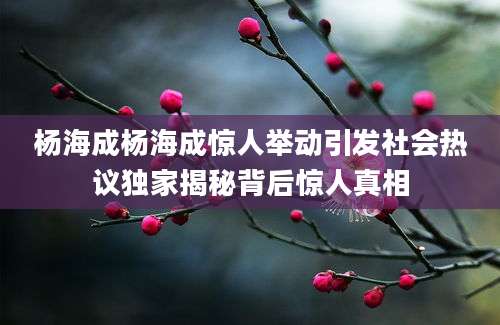杨海成杨海成惊人举动引发社会热议独家揭秘背后惊人真相