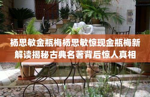 杨思敏金瓶梅杨思敏惊现金瓶梅新解读揭秘古典名著背后惊人真相