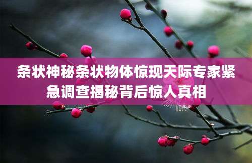 条状神秘条状物体惊现天际专家紧急调查揭秘背后惊人真相