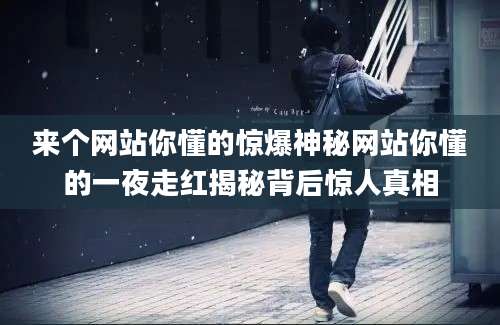 来个网站你懂的惊爆神秘网站你懂的一夜走红揭秘背后惊人真相