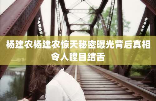 杨建农杨建农惊天秘密曝光背后真相令人瞠目结舌