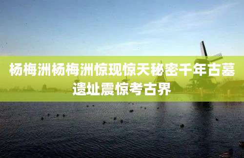 杨梅洲杨梅洲惊现惊天秘密千年古墓遗址震惊考古界