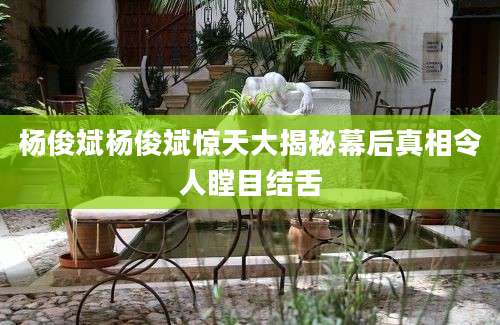 杨俊斌杨俊斌惊天大揭秘幕后真相令人瞠目结舌