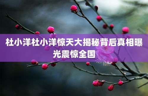 杜小洋杜小洋惊天大揭秘背后真相曝光震惊全国
