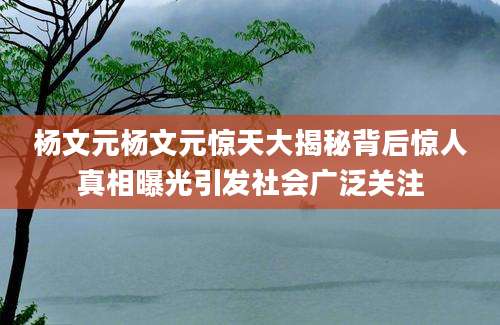 杨文元杨文元惊天大揭秘背后惊人真相曝光引发社会广泛关注