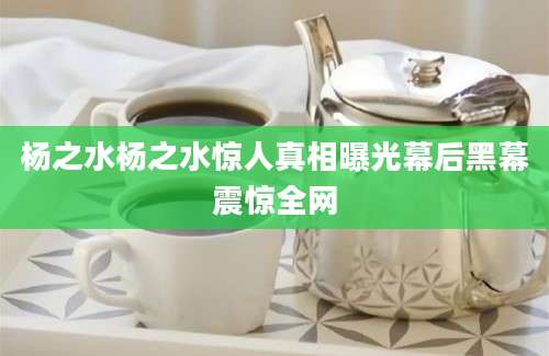 杨之水杨之水惊人真相曝光幕后黑幕震惊全网