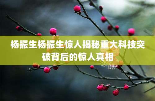 杨振生杨振生惊人揭秘重大科技突破背后的惊人真相