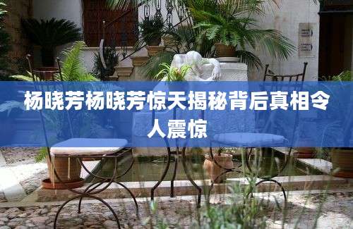 杨晓芳杨晓芳惊天揭秘背后真相令人震惊